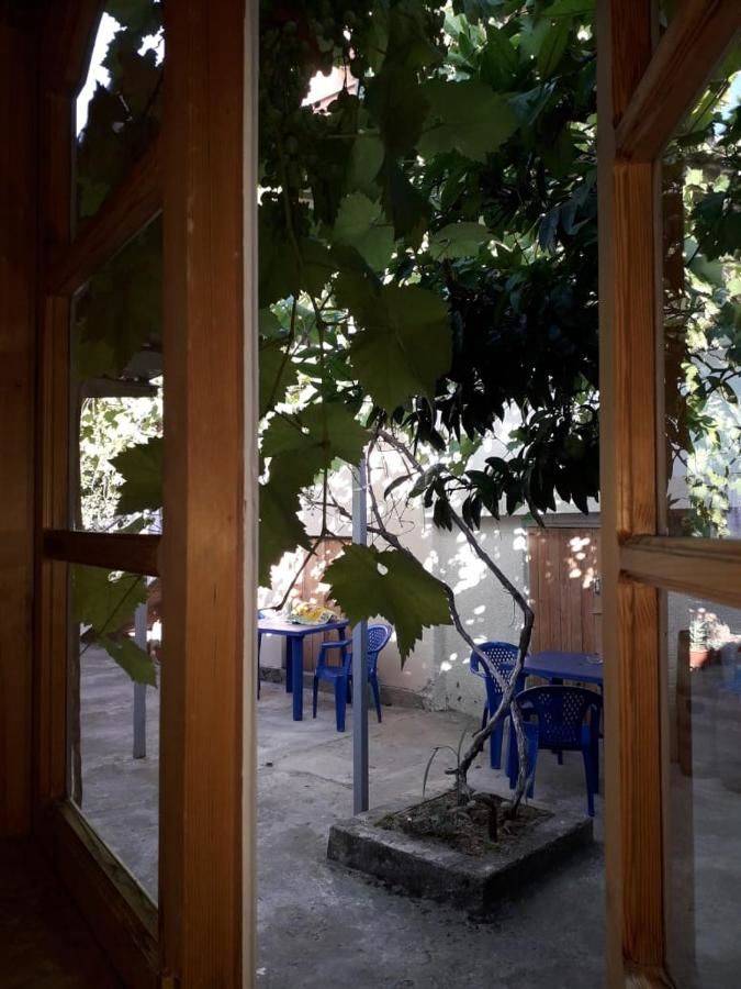 Гостевой дом Guest House Mariam Гагра