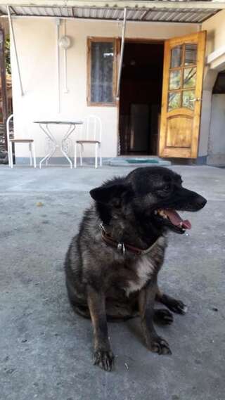 Гостевой дом Guest House Mariam Гагра-1