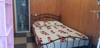 Гостевой дом Guest House Mariam Гагра Двухместный номер Делюкс с 1 кроватью и ванной-4