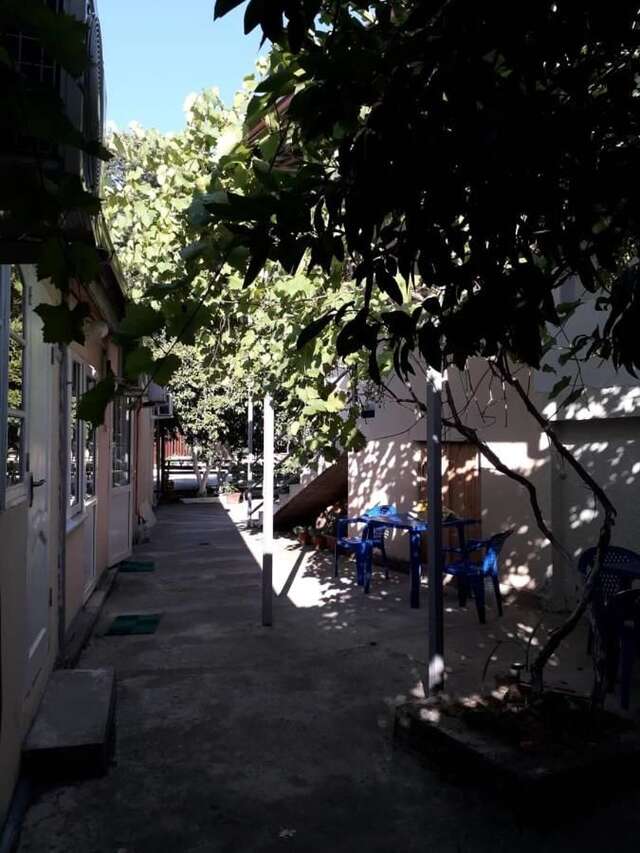 Гостевой дом Guest House Mariam Гагра-21